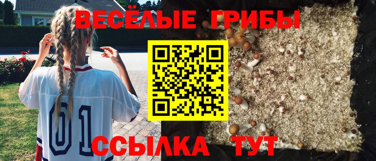 Псилоцибиновые грибы Cubensis  Вход с VPN  Оренбург 